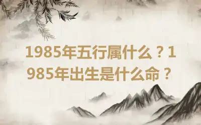 1985属什么